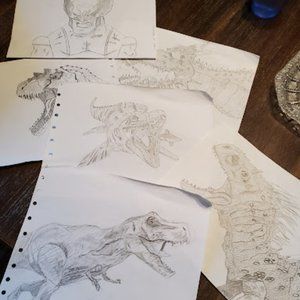 Multiple Pencil Drawing